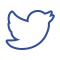 Logo Twitter (klein)