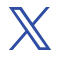 Logo X (klein)