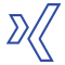 Logo Xing (klein)